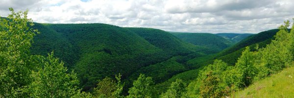 flock2f Profile Banner