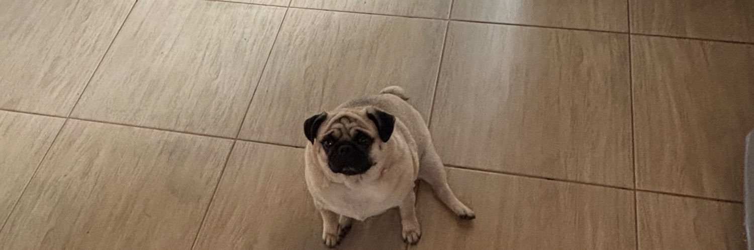 Maria Eduarda banner