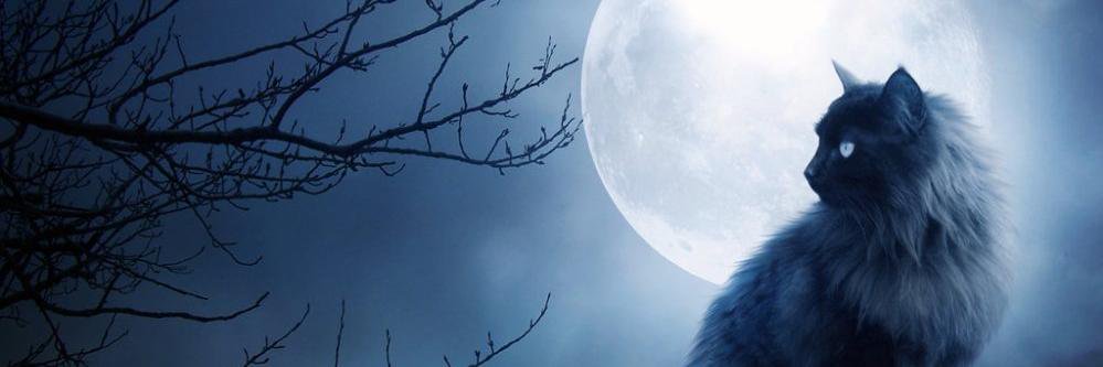 NorthernPoetry's profile banner image