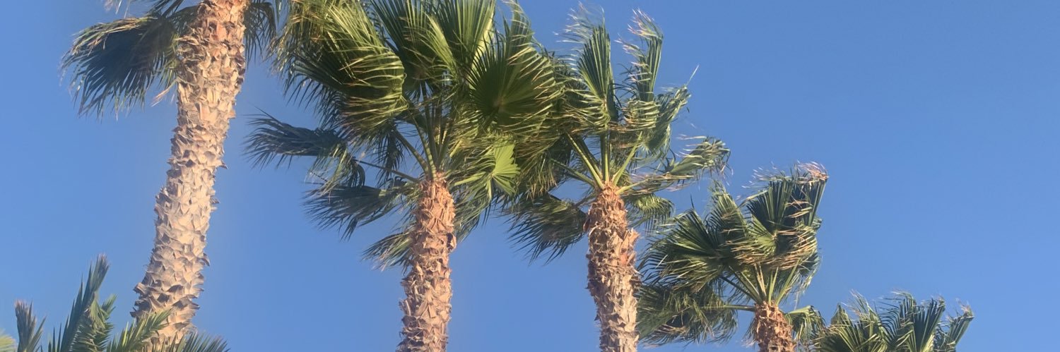ktels_'s profile banner image