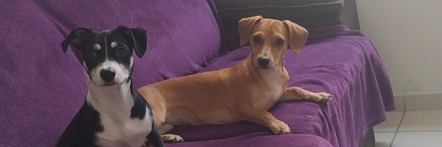 Luulusouza's profile banner image