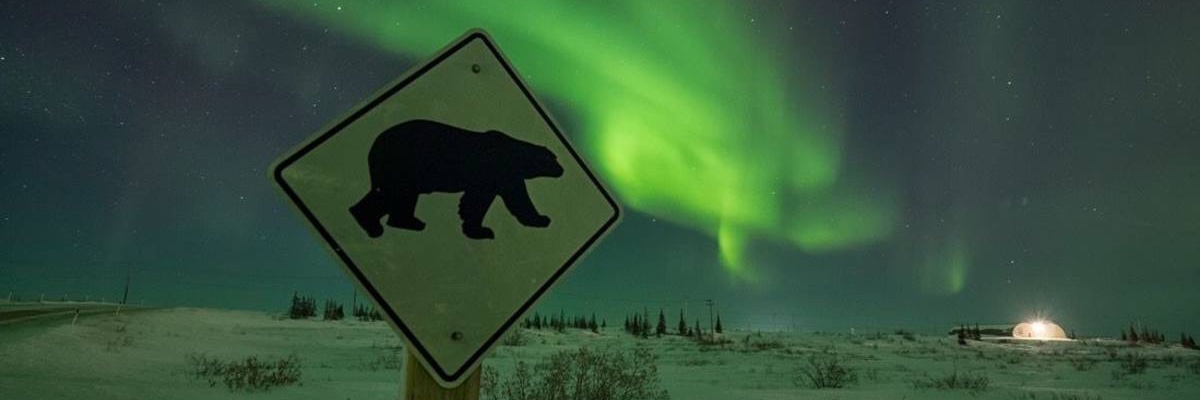 NorthBoy Chris banner