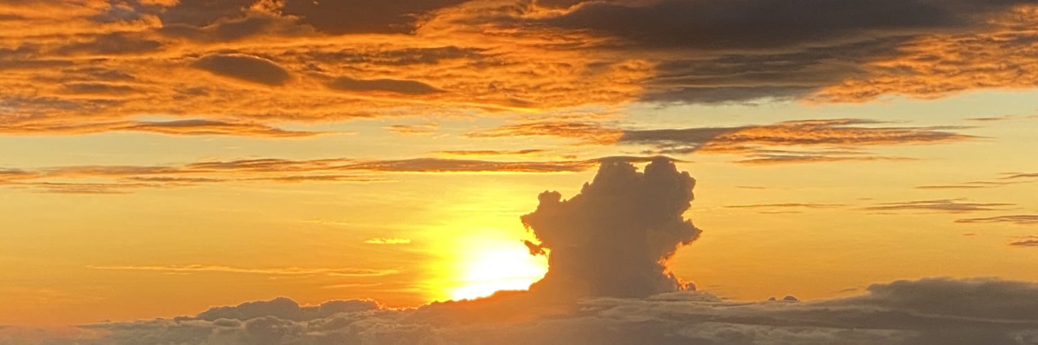 FriddaLizeth's profile banner image