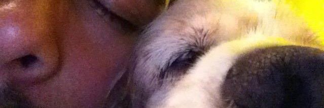 perroinvisible's profile banner image