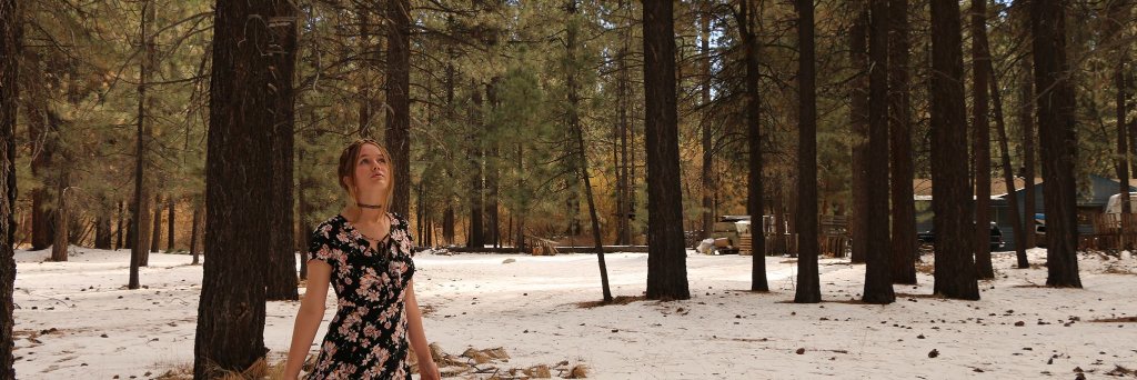 SarahLMeow's profile banner image