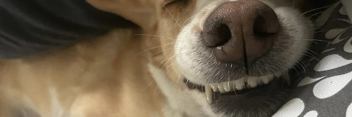 HannahOFarrell1's profile banner image