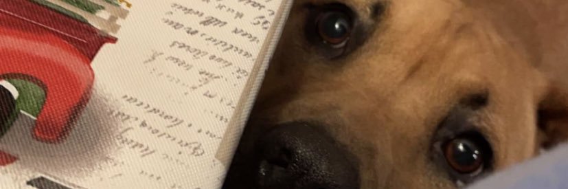 Mel_Kel8's profile banner image