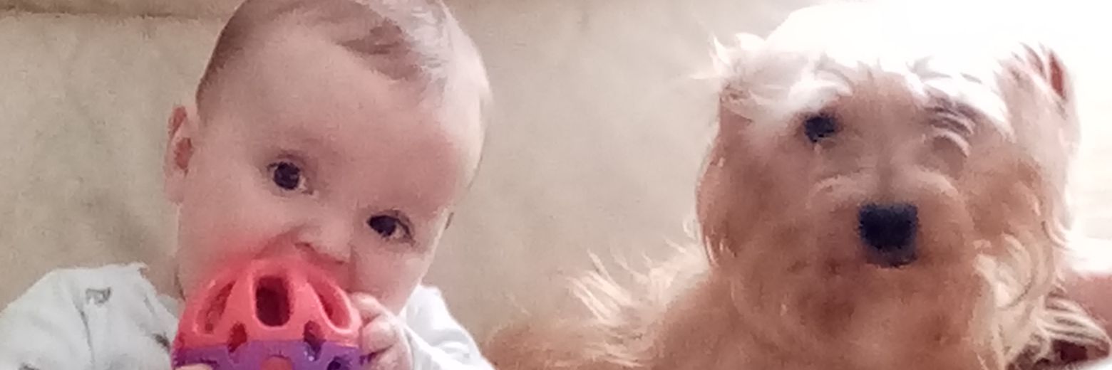 ♥Kerry♥ banner