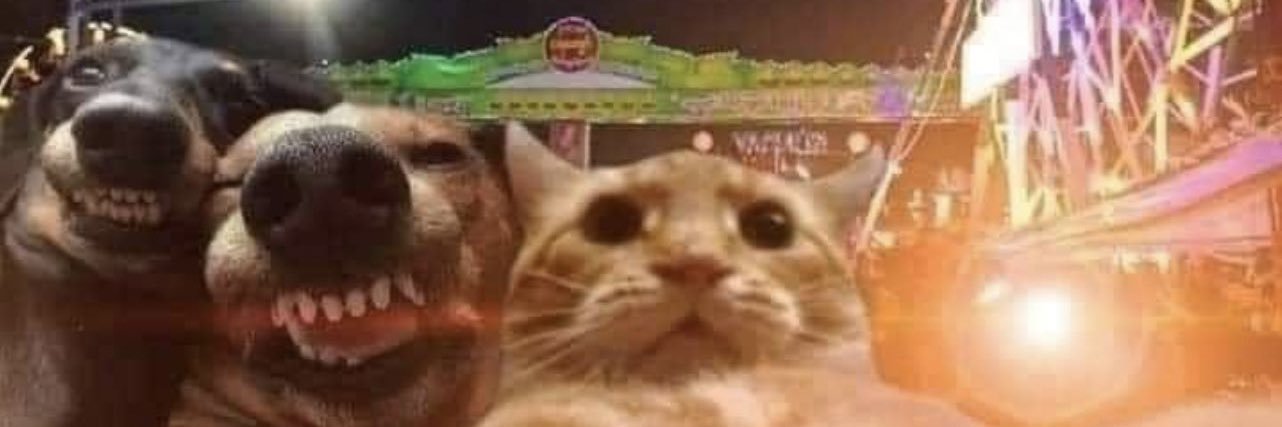 rosetbastian's profile banner image