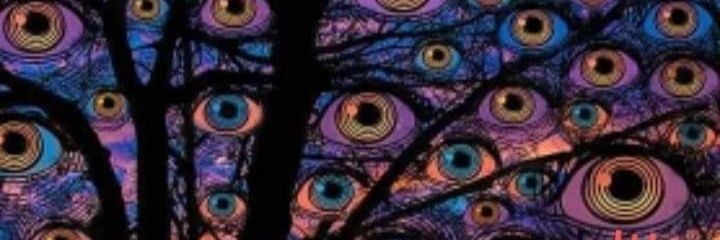 layuma24's profile banner image