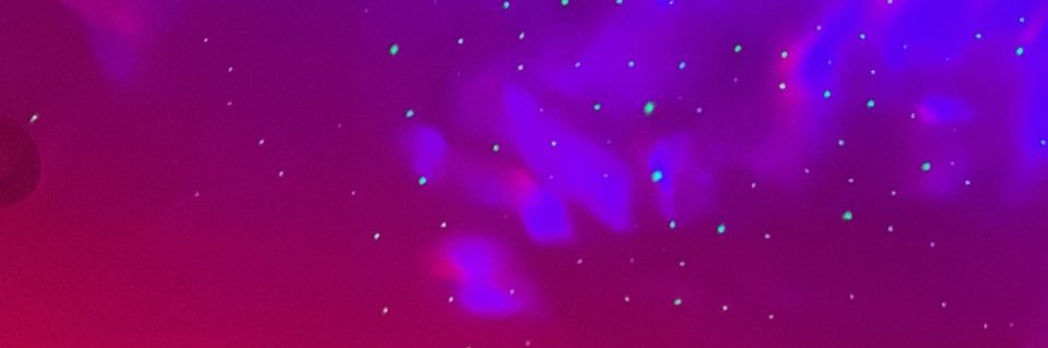 angeloGP777's profile banner image
