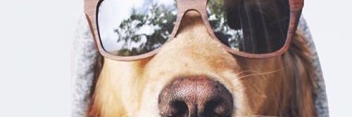 ErinRose04's profile banner image
