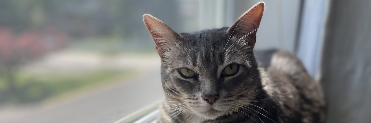 Lesshamplz's profile banner image