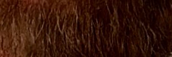 RealBionicRod Profile Banner