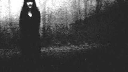 Taufik Hidayat banner