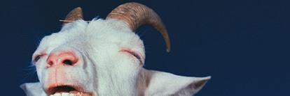 thessoro's profile banner image