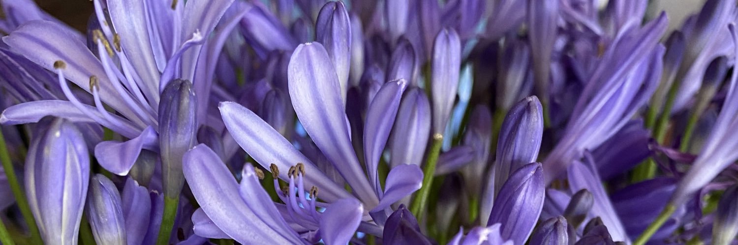 JerushaIslas's profile banner image