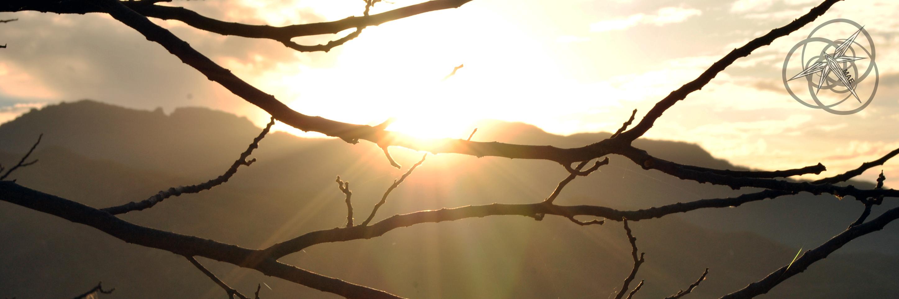 miriarce1's profile banner image