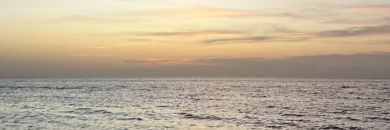 ShamelynRamirez's profile banner image