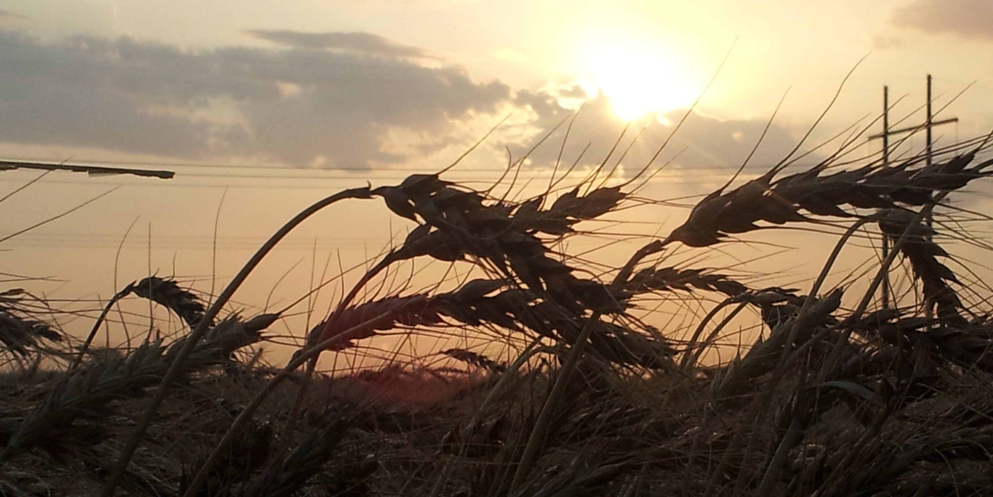 Eswanson88's profile banner image