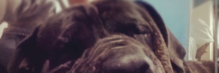 JuanReali's profile banner image