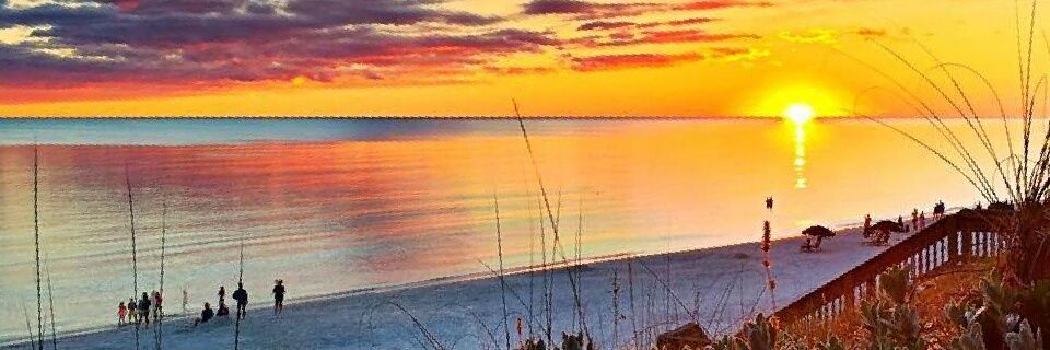 AFish52's profile banner image