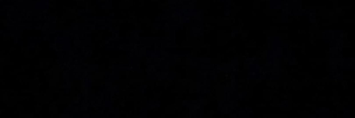 Joseph Rosztoczy banner