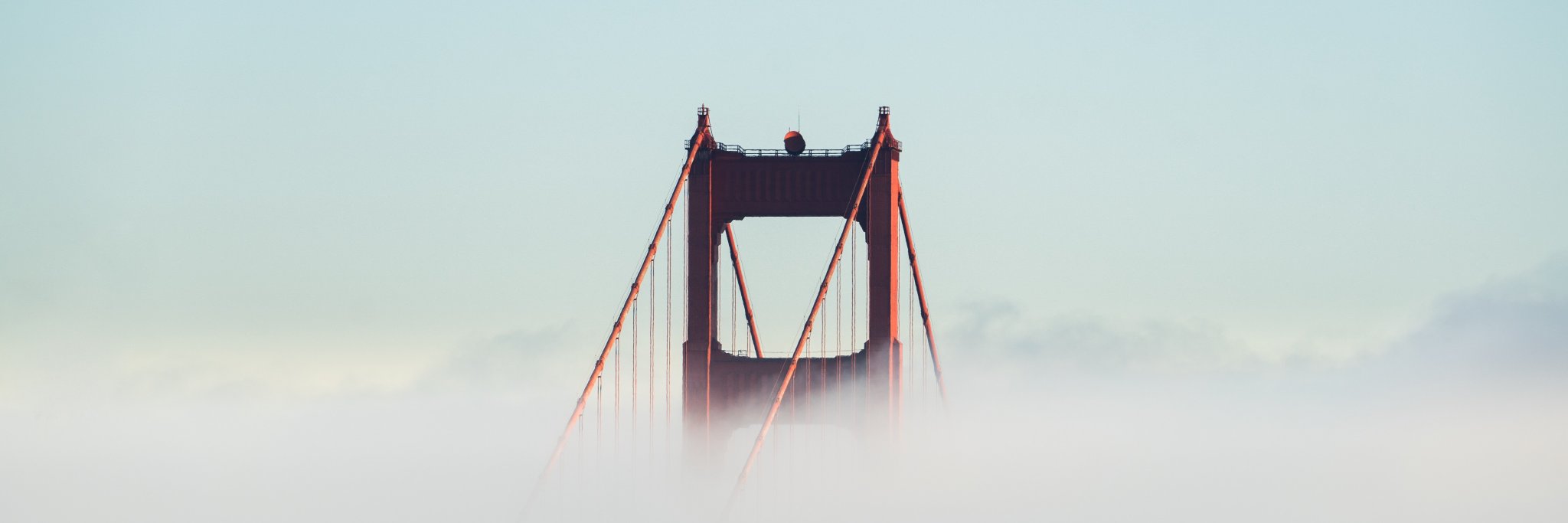 Nicolas Backal banner