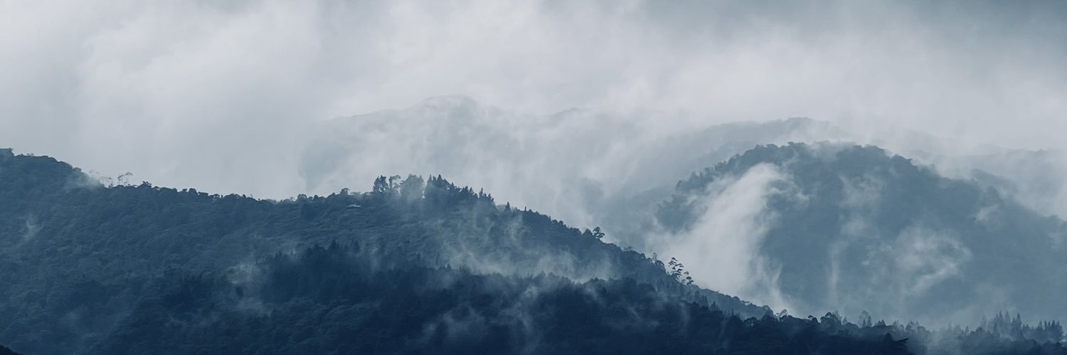 chuwrley's profile banner image