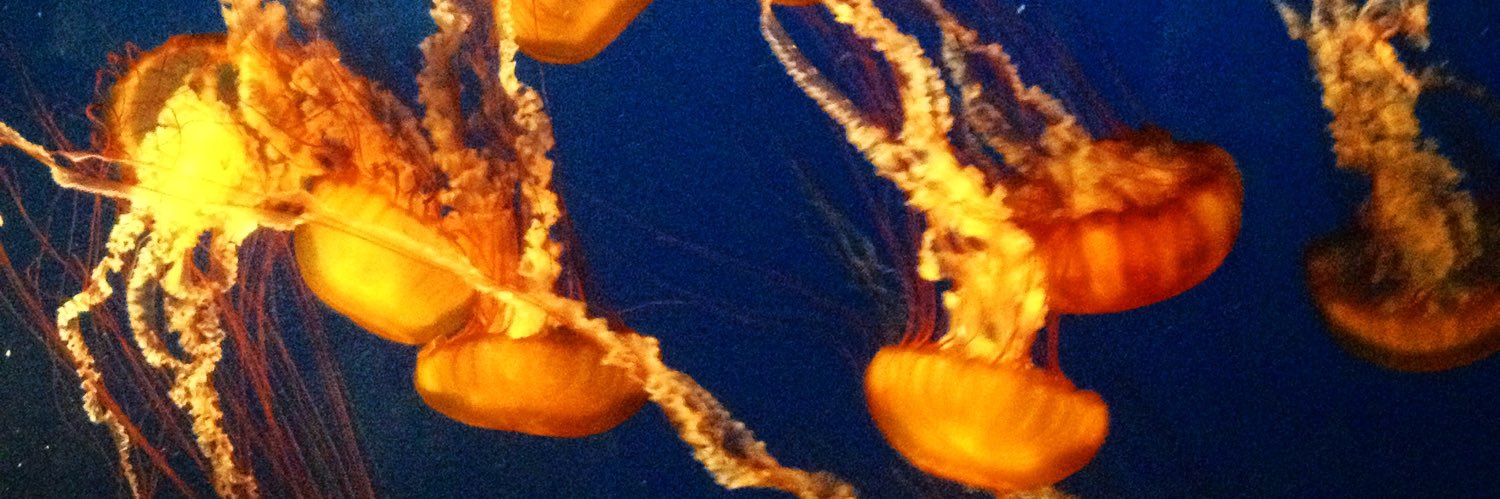 hextragon_'s profile banner image