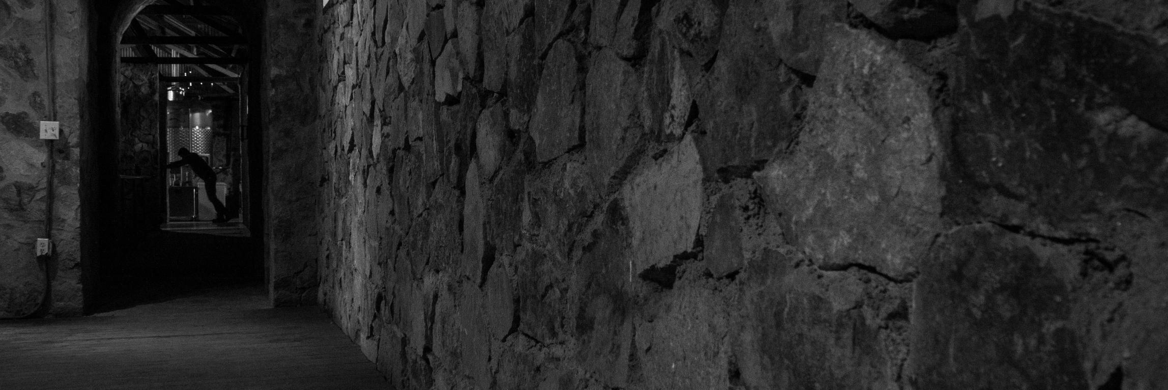 _VYVA's profile banner image