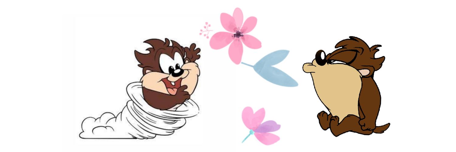 dewiifs's profile banner image