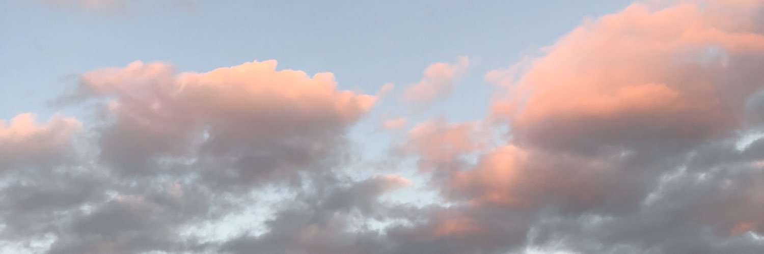 Meg banner