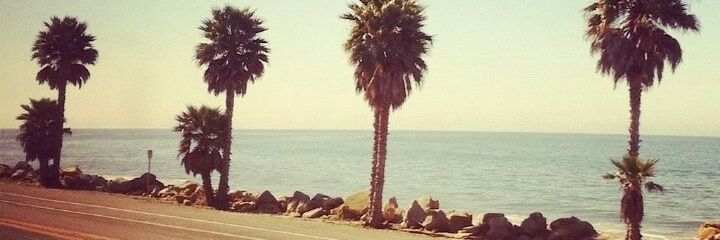 micheleritter_'s profile banner image