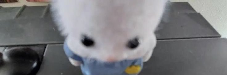ninathap's profile banner image
