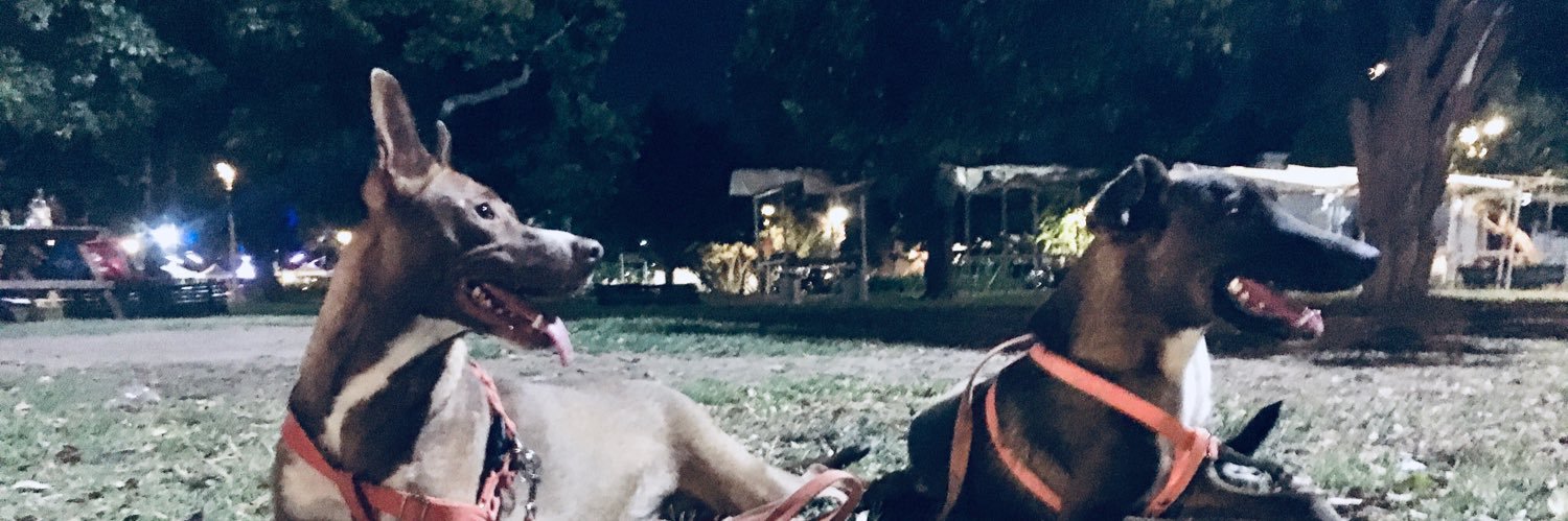 luuzve's profile banner image