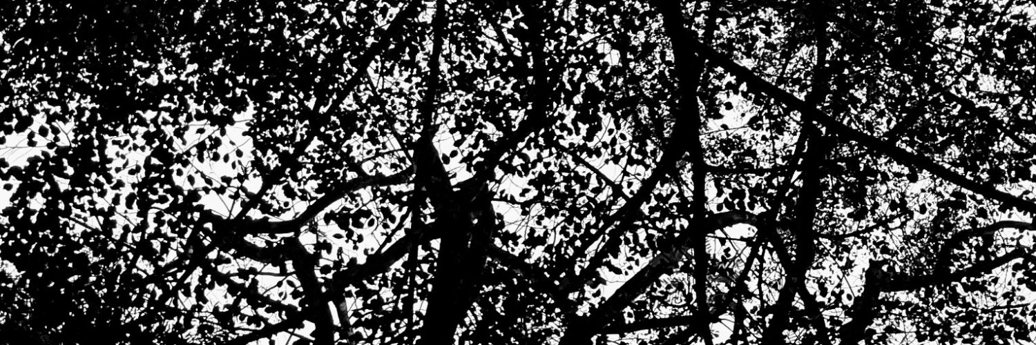 kiter_js's profile banner image