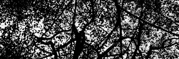 kiter_js Profile Banner