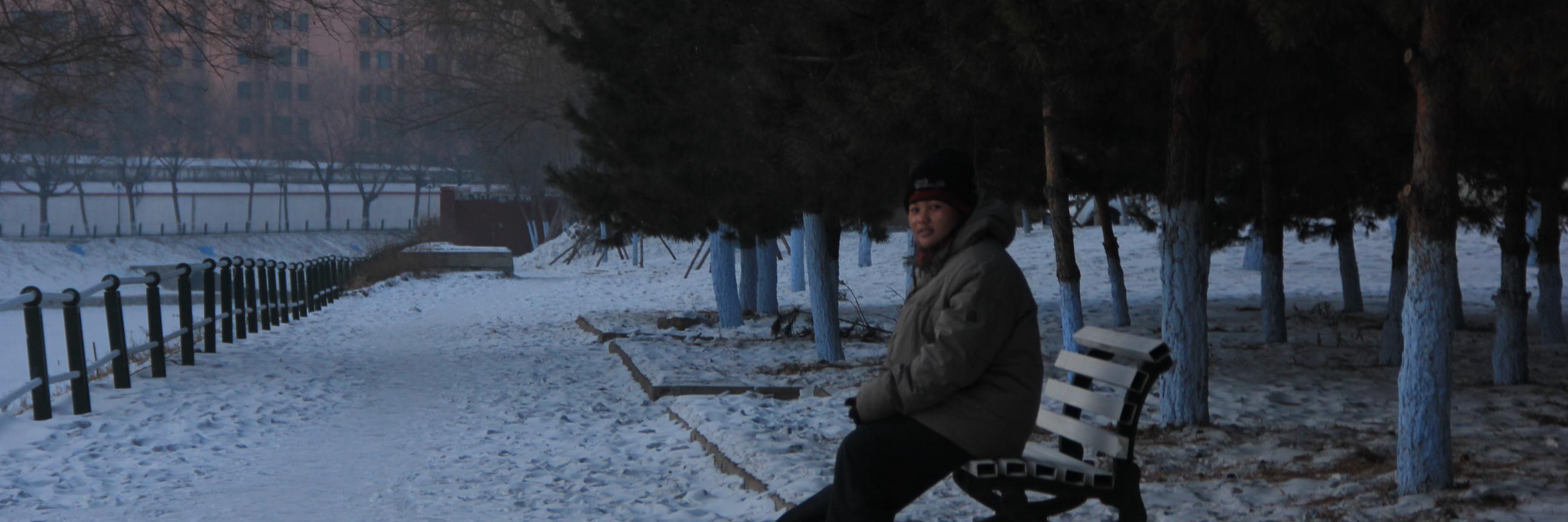 Luh Putri Adnyani banner