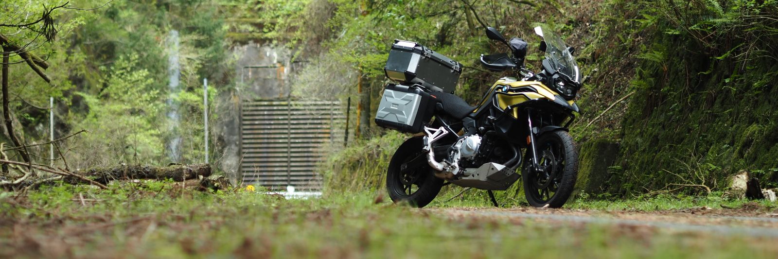 ダレルタイター banner