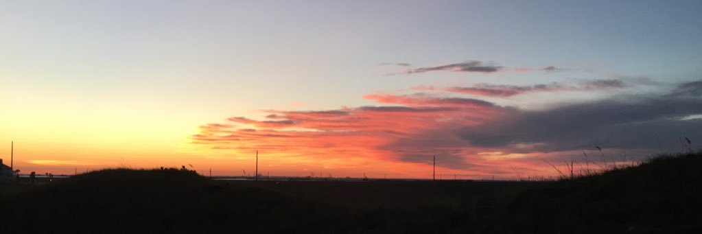 msilvatx's profile banner image