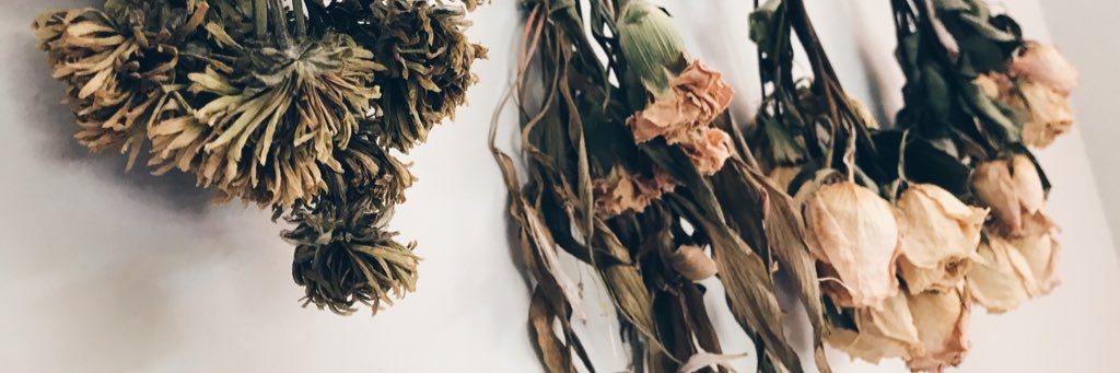 MackenzieMarieM's profile banner image