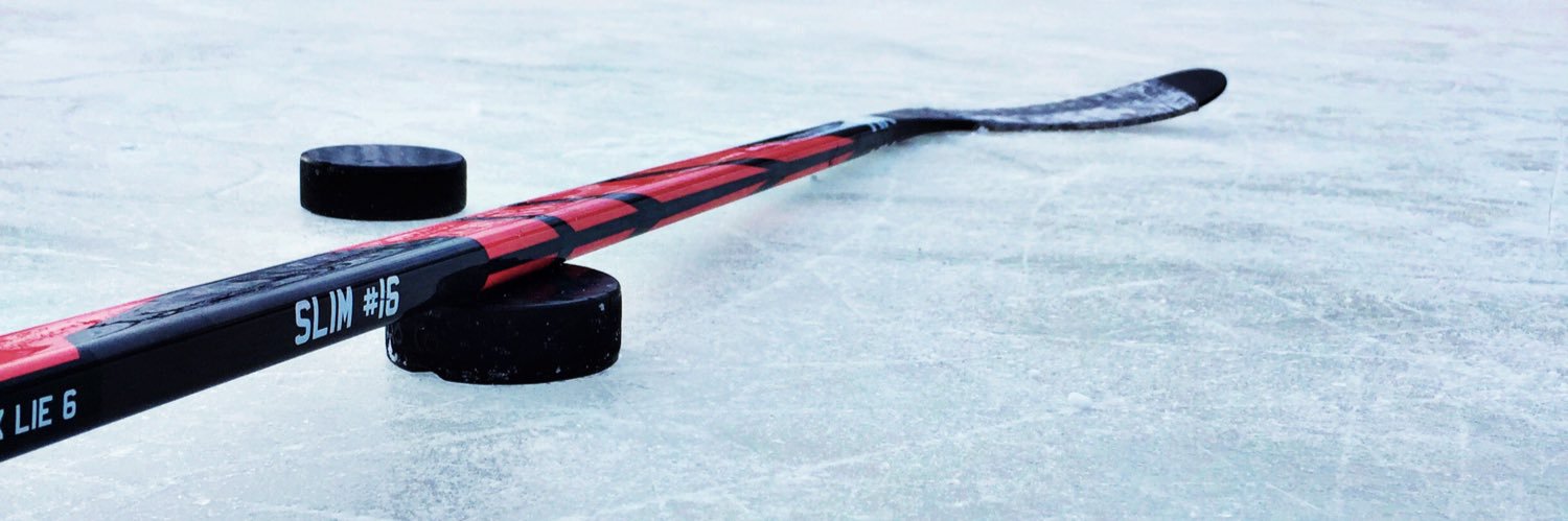 Sticks and Hat Tricks 🏒🥅 banner