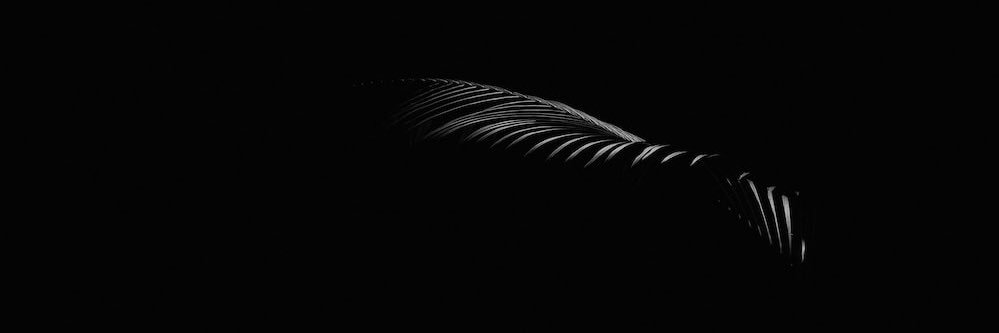 Rafagardus's profile banner image