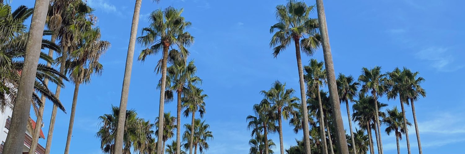en311's profile banner image
