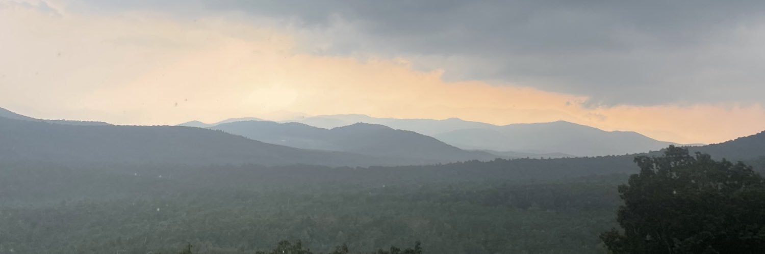 brittaiver's profile banner image