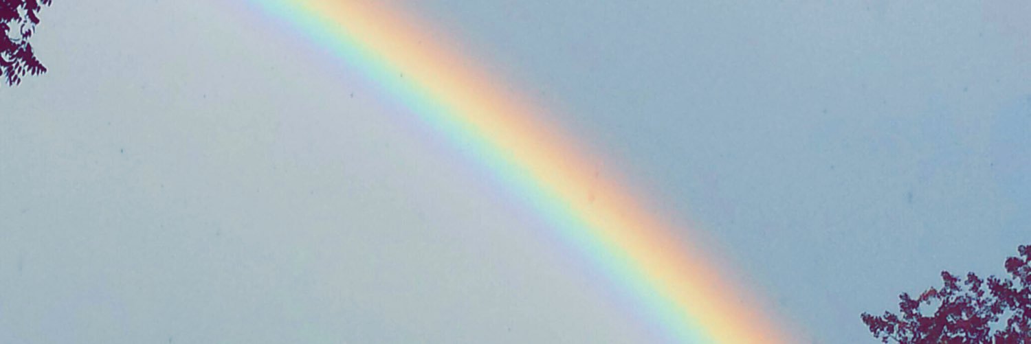 LoganBindley's profile banner image