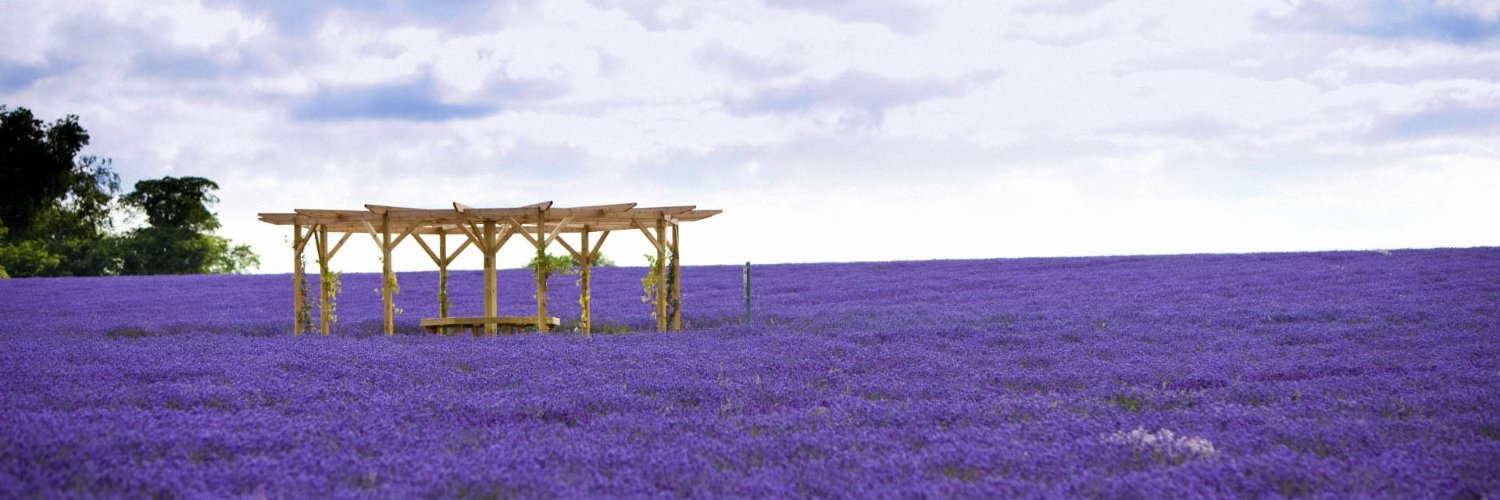 beyerfava's profile banner image