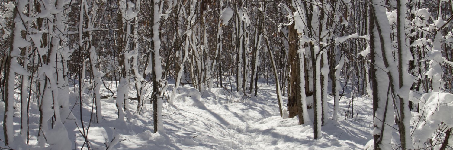 jasperreddin's profile banner image