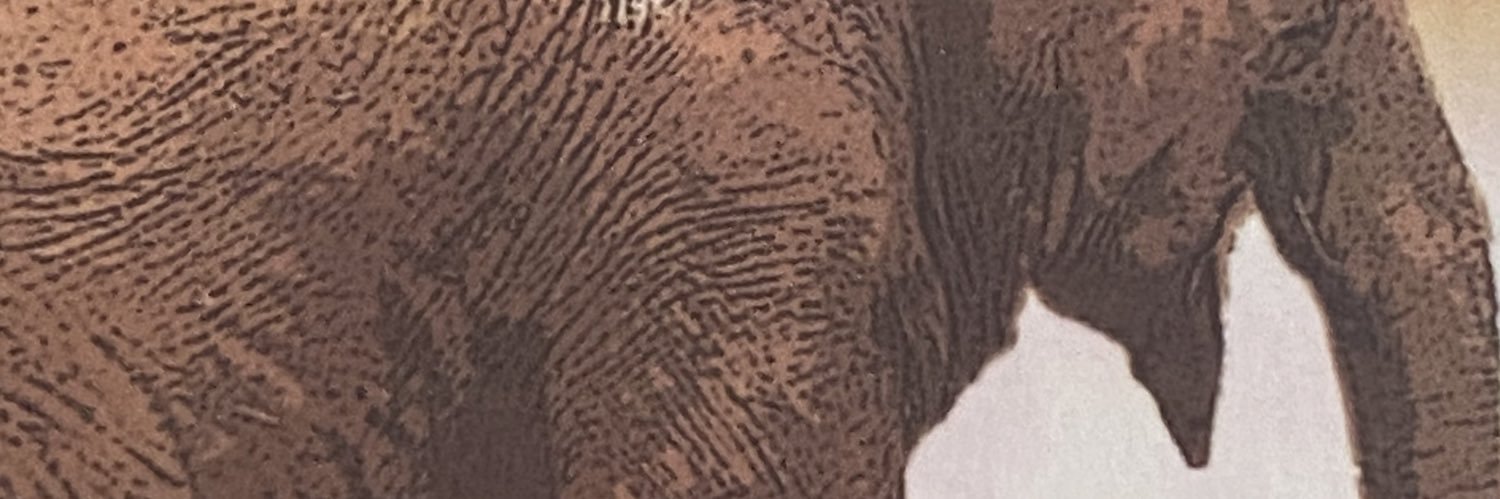 PatGomezSanchez's profile banner image